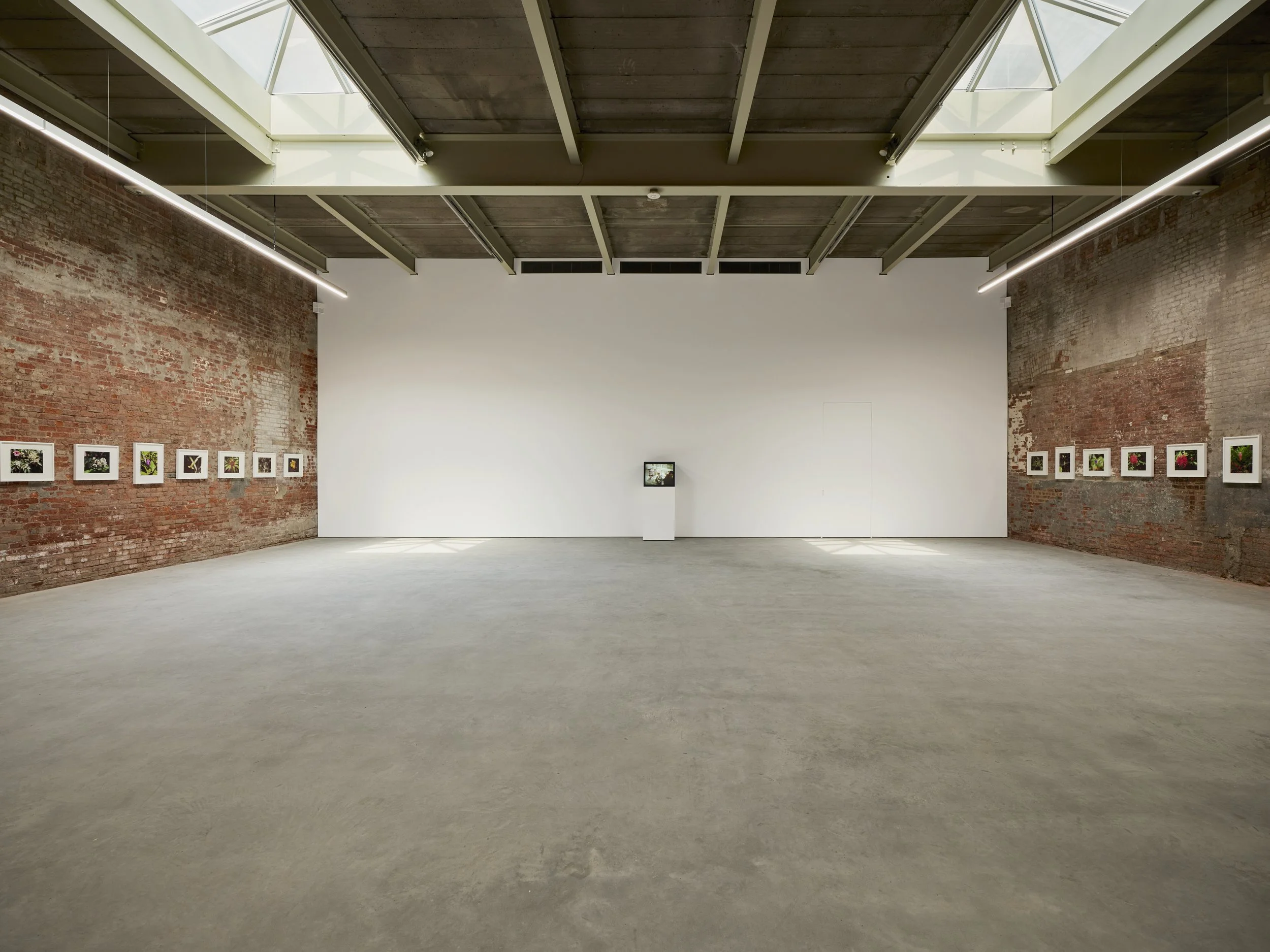 Steve McQueen: Cinematic Memory and Colonial Landscapes at Dia